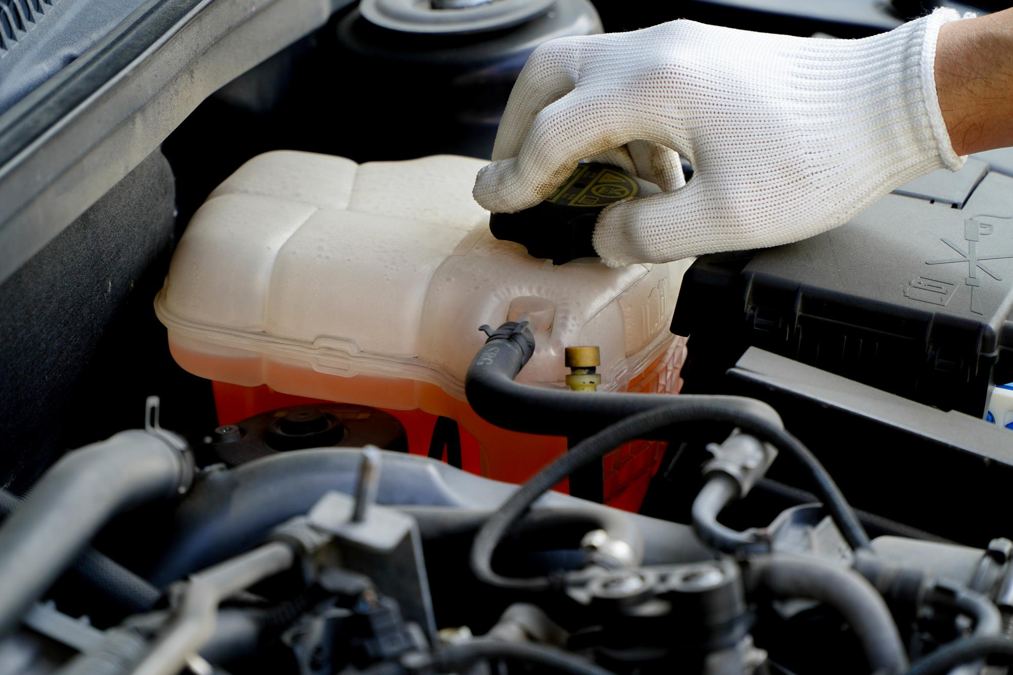 Everything You Need to Know About Coolants 2025